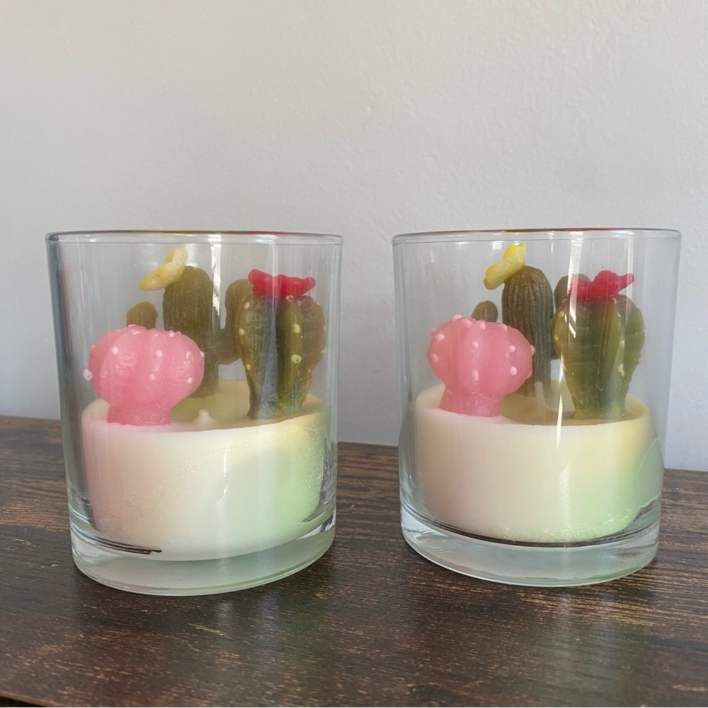 Cactus Candle Bundle (2 candles) New - Picture 1 of 5